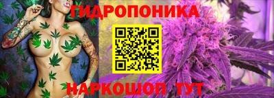 бошки Камень-на-Оби