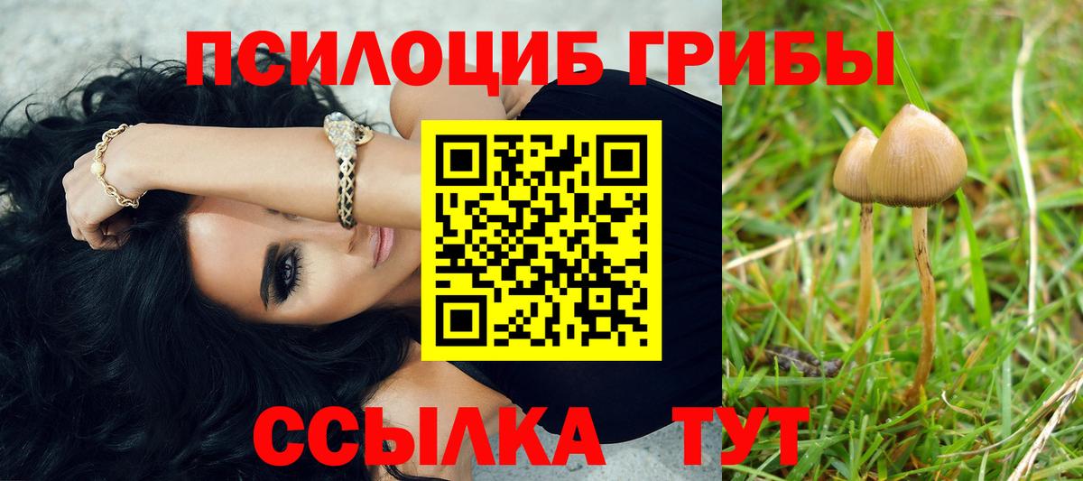 Галлюциногенные грибы GOLDEN TEACHER  Вход с VPN  Печора  Псилоцибиновые грибы мухоморы 